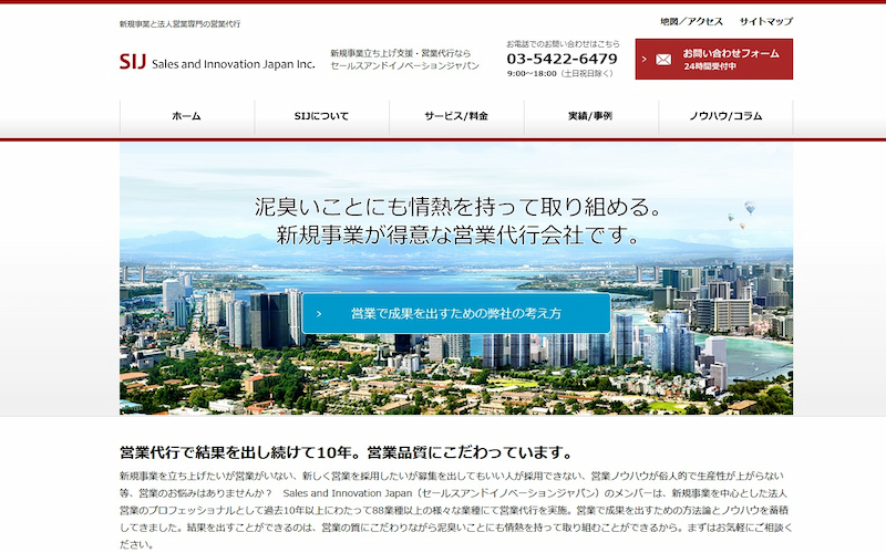 株式会社Sales and Innovation Japan